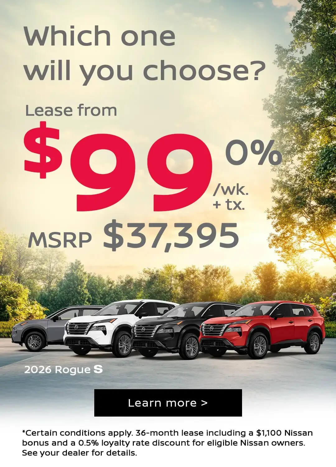 Rogue Promotions